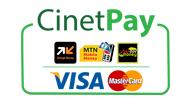 Paiement avec Orange Money, Wave, Momo et Moov Money