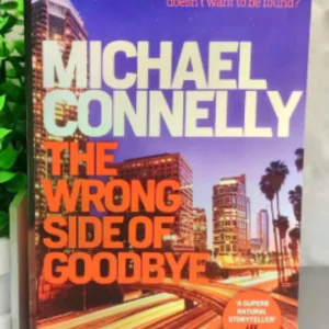 The Wrong Side of Goodbye