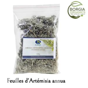 Feuilles d artemisia annua Borgia Organics 100g sachet bio Artemisia annua