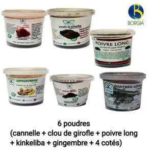6 Poudres (cannelle + Clou De Girofle + Poivre Long + Gingembre + Kinkeliba + 4 Côtés))