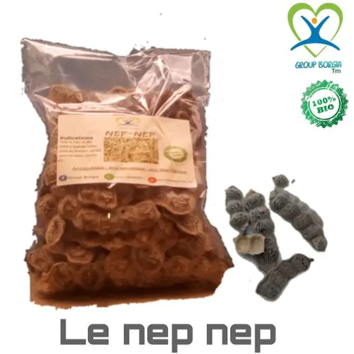 Le Nep Nep
