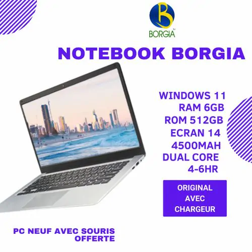 PC Portable Neuf BORGIA