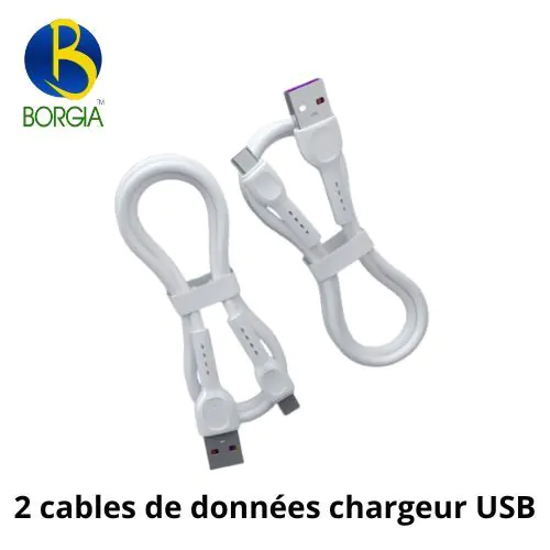 Lot De 2 Câbles De Chargeur Et Données Micro Usb Pvc