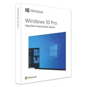 Windows 10 professional