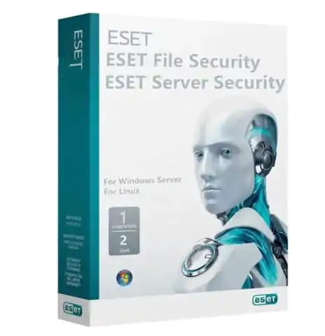 eset windows server security