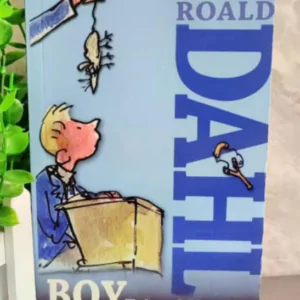 Boy Tales of Childhood