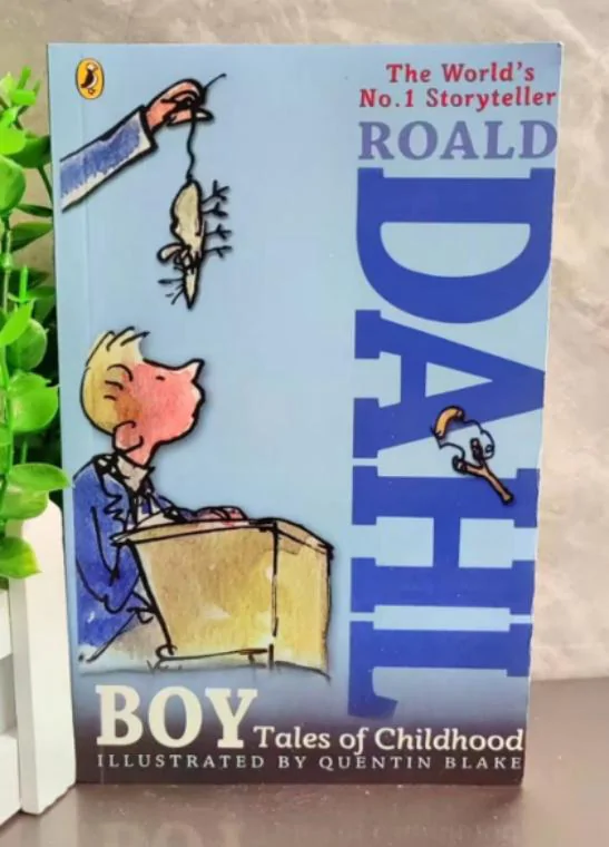 Boy Tales of Childhood