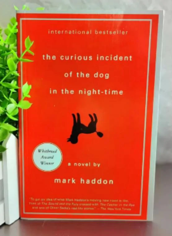 The Curious Incident of the Dog in the Night Time