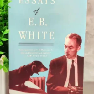 Essays