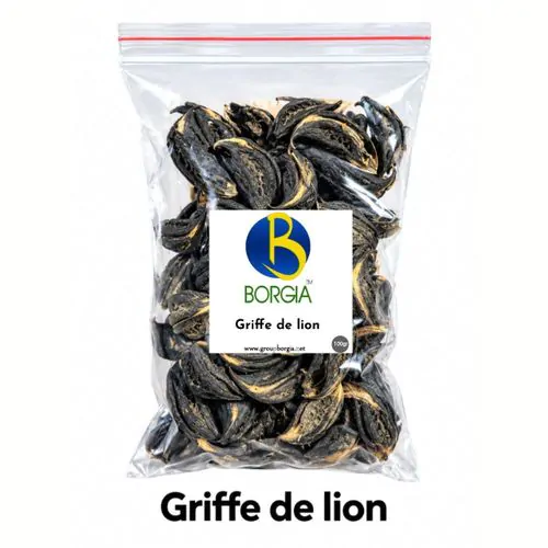 Encens Griffe de Lion