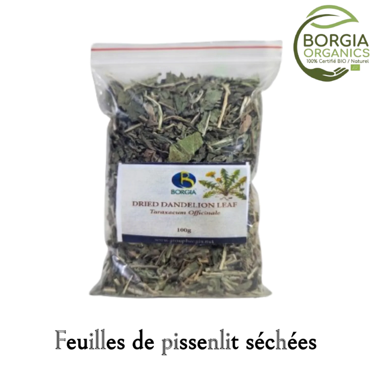feuilles de pissenlit séchées