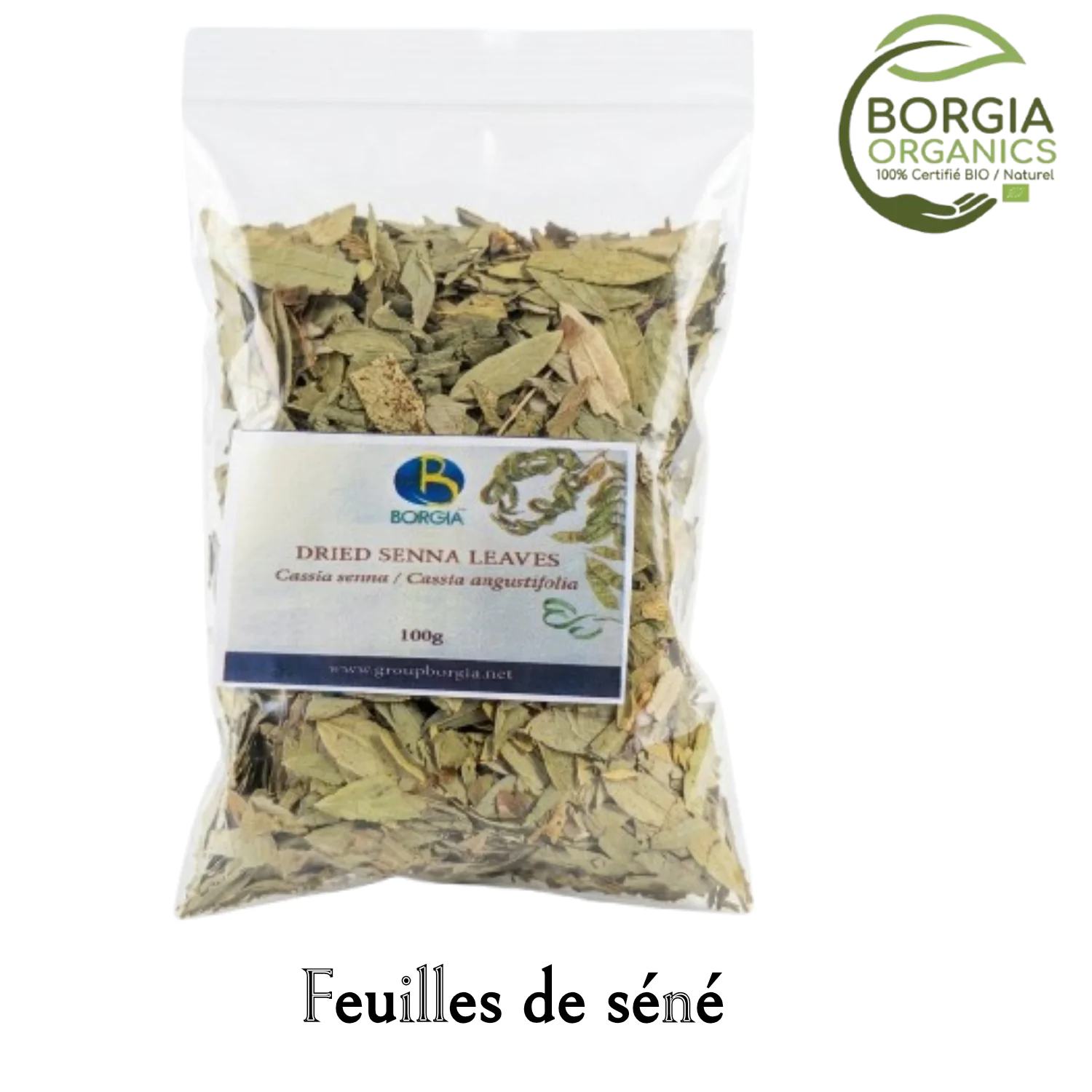feuilles de sene sechees borgia