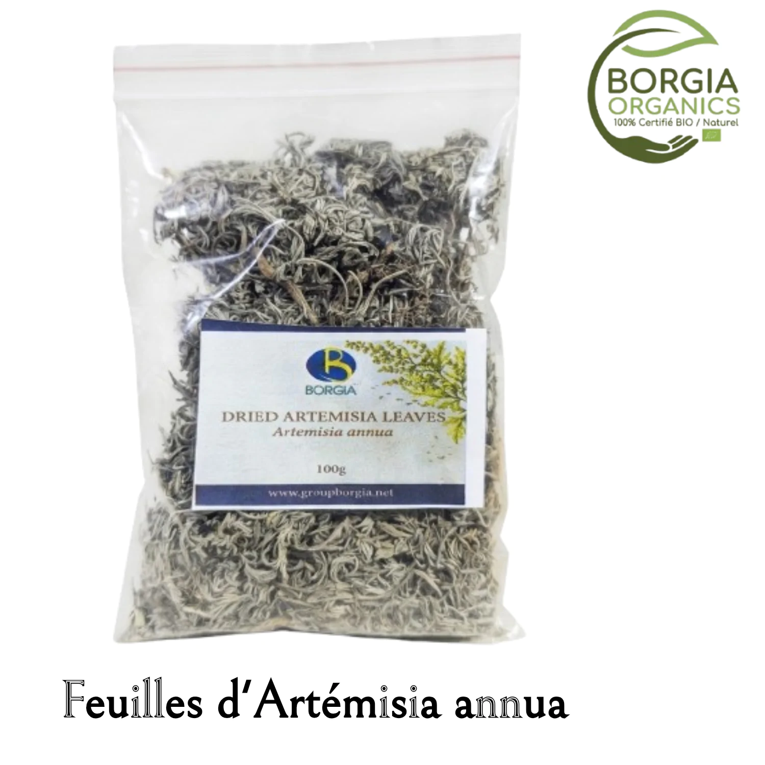 feuilles d artemisia annua borgia